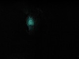 p9023303 