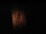 p9023304 