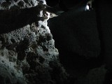 p9023308 