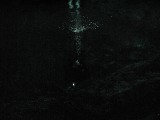 p9023331 