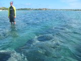 leeharris_059 