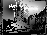 lr_mvc019f_jpg 
