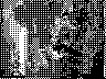 lr_mvc027f_jpg 