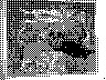 lr_mvc036f_jpg 