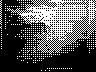 lr_mvc049f_jpg 