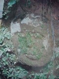 mvc223f 