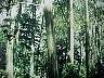 tn_mvc231f_jpg 