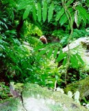 image18 