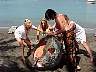tn_mvc250f_jpg 