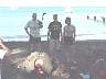 tn_mvc189f_jpg 