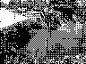 lr_mvc512f_jpg 