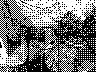 lr_mvc532f_jpg 