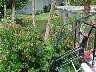 tn_mvc511f_jpg 