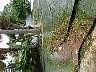 tn_mvc535f_jpg 