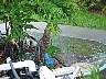 tn_mvc014f6_jpg 
