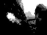 lr_mvc373f_jpg 