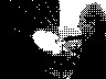 lr_mvc375f_jpg 