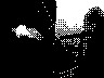 lr_mvc376f_jpg 