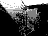 lr_mvc378f_jpg 