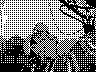 lr_mvc383f_jpg 