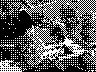 lr_mvc427f_jpg 