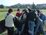 mvc444f 