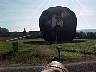 tn_mvc439f_jpg 