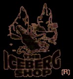 icelogo 