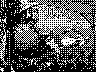 lr_mvc165f_jpg 