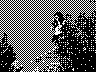 lr_mvc182f_jpg 