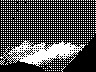 lr_mvc190f_jpg 