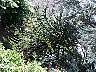 tn_mvc183f_jpg 