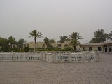 dsc03186 