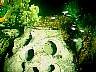 tn_mvc011f_jpg 