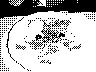 lr_mvc136f_jpg 