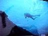 tn_diver_bmp 