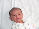 shellypassportphoto 