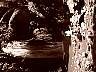 tn_mvc001f3_jpg 
