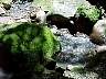 tn_mvc006f3_jpg 