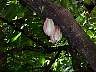 tn_mvc012f2_jpg 