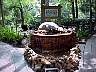 tn_mvc013f2_jpg 